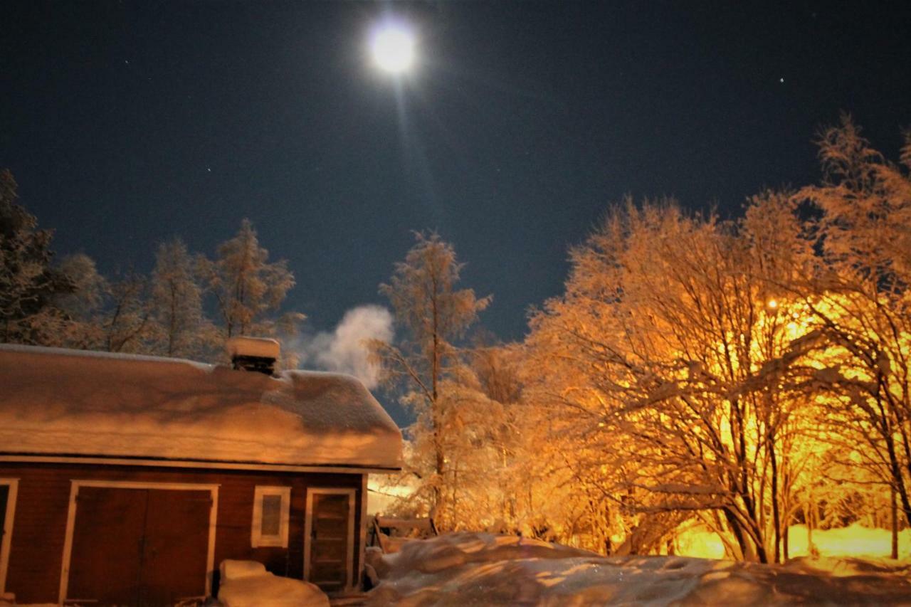 Villa Havula Ranua Exteriér fotografie